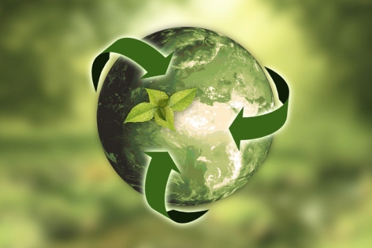 Investments in and with sustainability